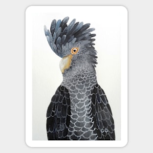 Black Cockatoo - bird art - painting Sticker